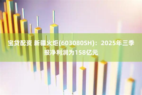 宝贷配资 新疆火炬(603080SH)：2025年三季报净利润为158亿元